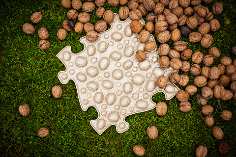 MUFFIK: z podhůří Jeseníků až na latinskoamerické trhy