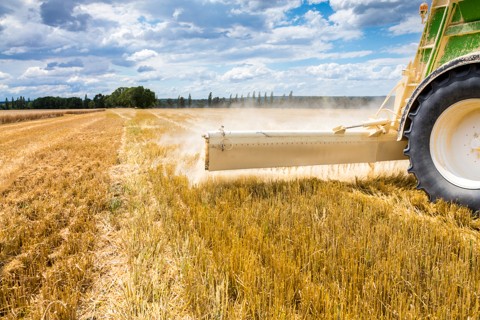 growtech_shutterstock_319888697__480x320pxl.jpg