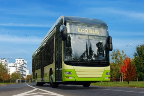 ekobus_shutterstock_1204643254__480x320pxl.jpg