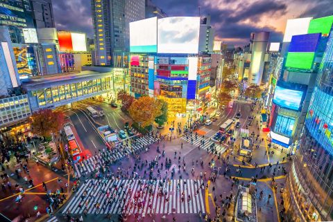 Japonsko-shutterstock_1608796999.jpg